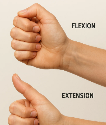 exercises after carpal tunnel surgery