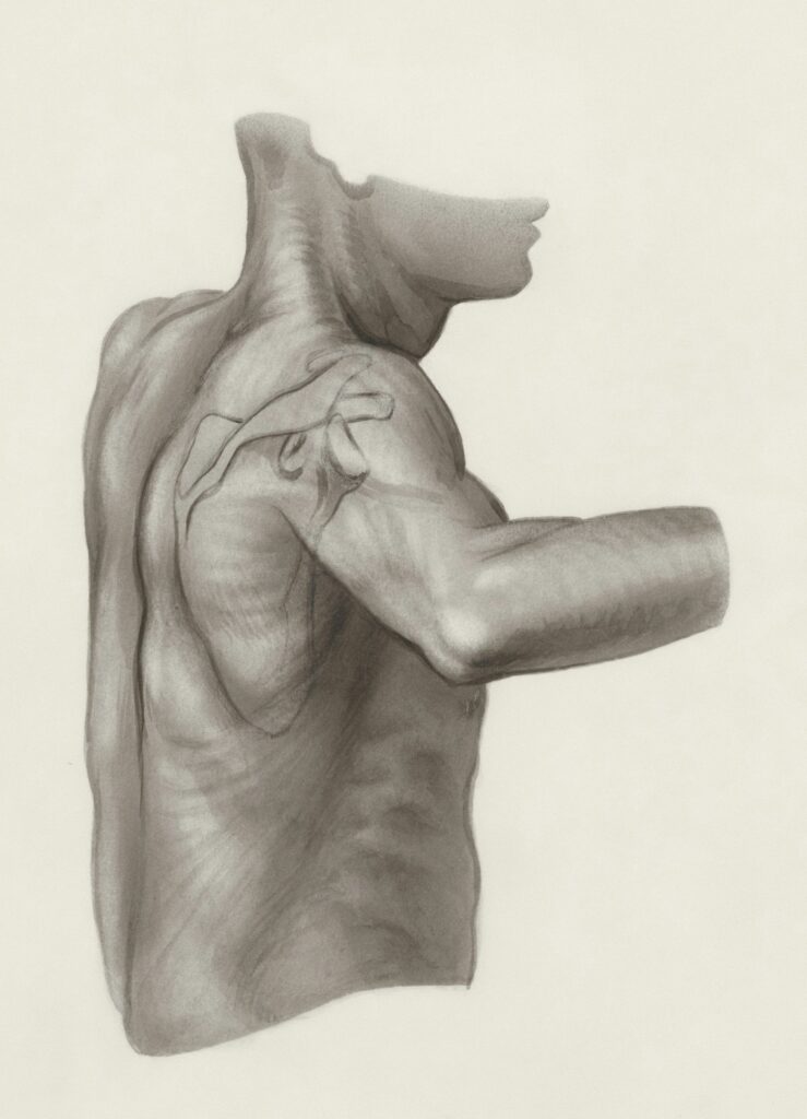 what is the best exercises for your arms