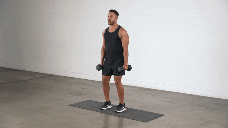you can build big traps with dumbbell exercises How to build big traps