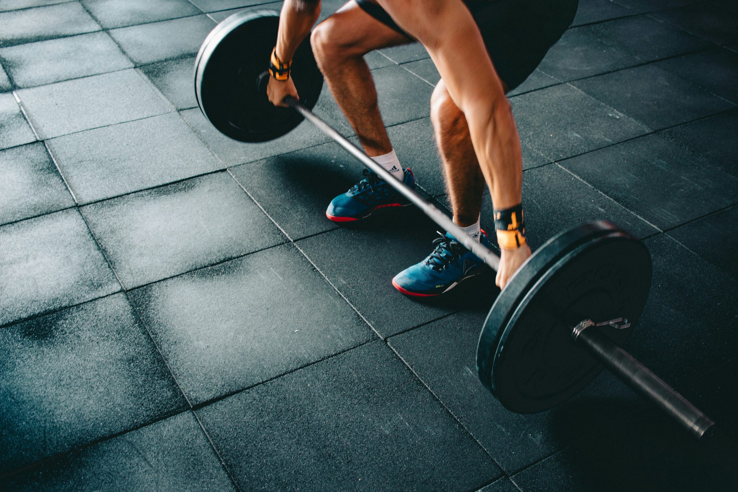 barbell leg workout