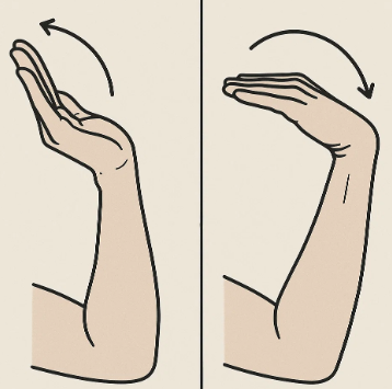exercises after carpal tunnel surgery