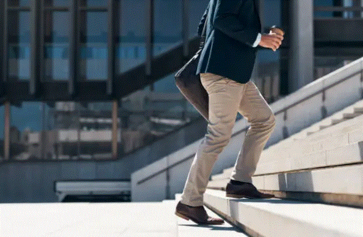 Which exercise burns the fat most?