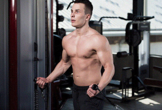 how to work inner biceps