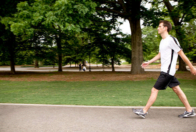 Which exercise burns the fat most?